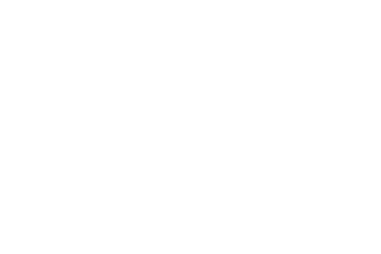 Rauch Klaviertransporte Logo
